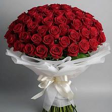 Букет 101 Красная роза Блэк Мэджик в Советской Ставропольского края