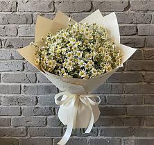 Букет цветов из:  Ромашки #REPLACE_PRED# Советской Ставропольского края